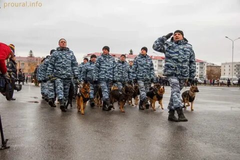 Кинолог уфа