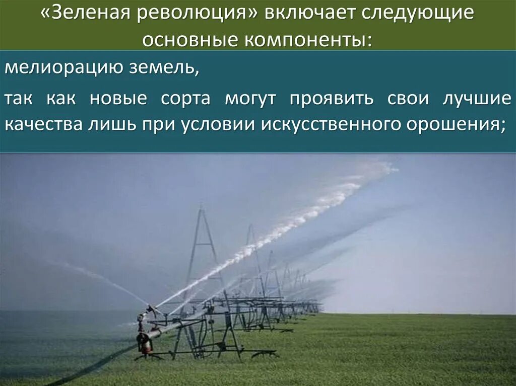 Компоненты зеленой революции. Зеленая революция. презентация на тему зелёная революция. «зеленая революция» характеризовалась. основные компоненты зеленой революции.