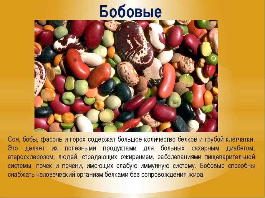 В фасоли содержится витамин