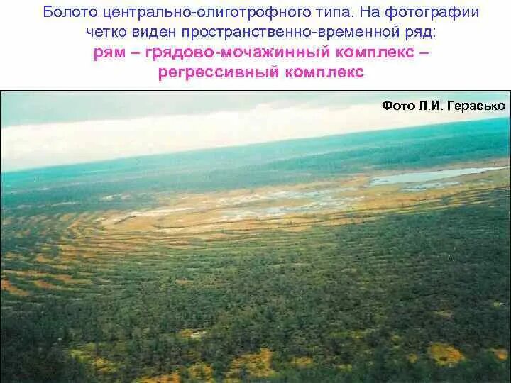 Заболоченность западной сибири на карте. Территория для которой характерна наибольшая заболоченность. Территория для которой характерна наибольшая заболоченность. Территория для которой характерна наибольшая заболоченность. Заболоченность западной сибири.