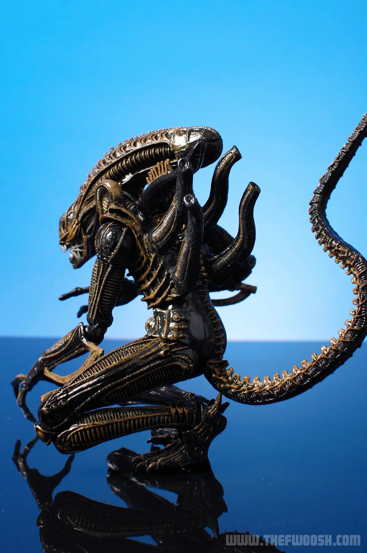 Использование чужого произведения. Xenomorph Warrior. Разновидности чужого. Раса чужих.