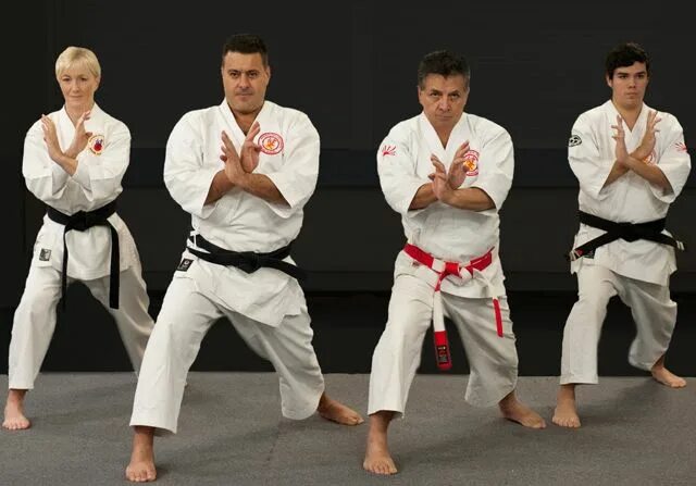 Goju ryu karate