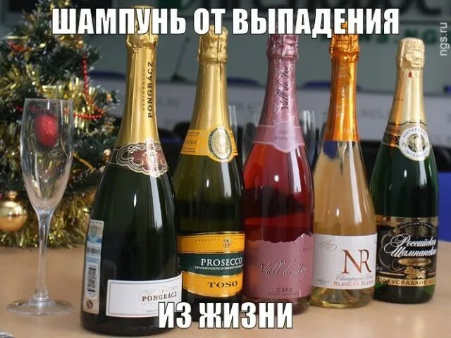 Вино как шампанское как называется. Шампанское. вино шампанское. винные напитки газированные. шампанское недорогое.