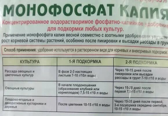 Подкормка рассады монофосфатом калия после пикировки томатов. Подкормка рассады помидор монофосфат калия. Моносульфат калия удобрение. Подкормка монофосфатом калия. Подкормка рассады монофосфа ом калия.