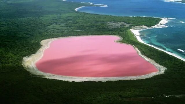 Озеро Ретба Сенегал. Озеро Хиллиер, Австралия. Озеро Хиллер (остров Миддл). Розовое озеро Хиллер Австралия. Внутренние озера австралии