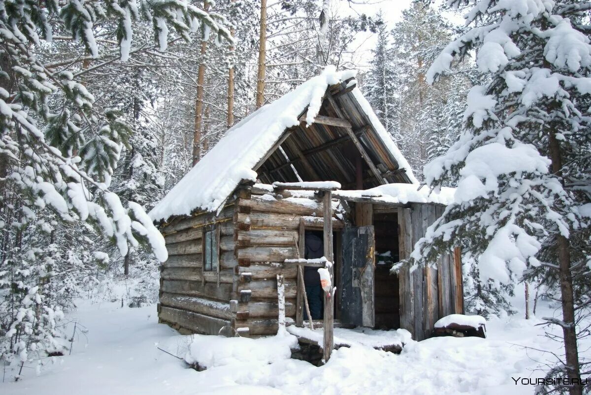 В глухих таежных