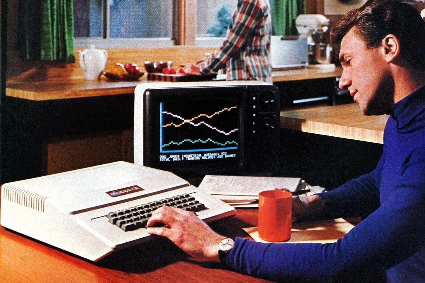 Sonia as a computer programmer