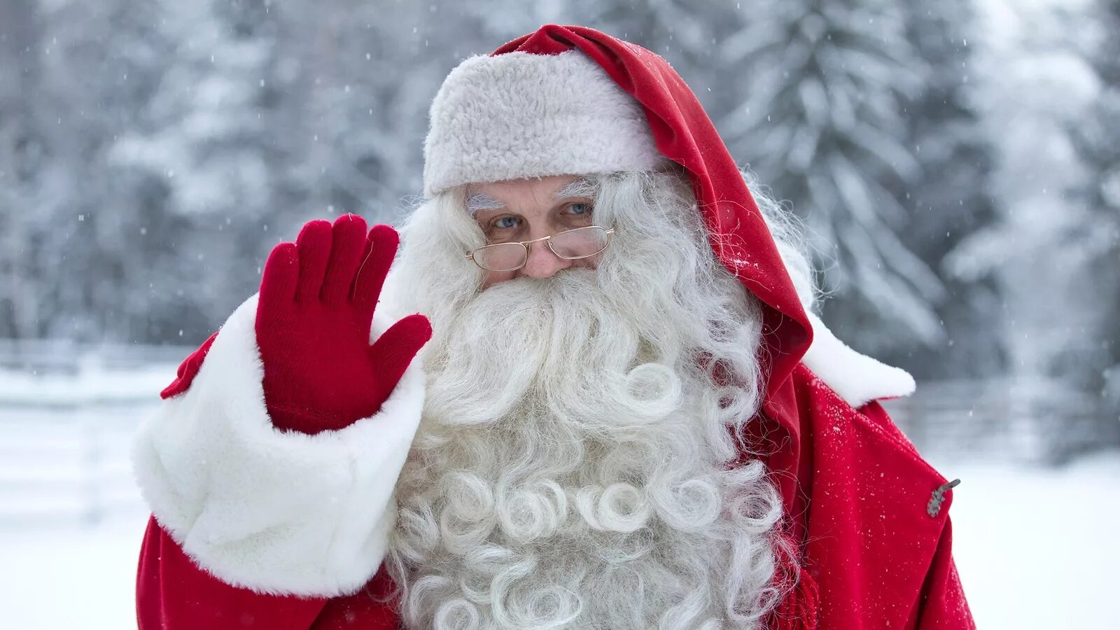 Дед Мороз. Дед Мороз машет рукой. Дед Мороз машет. Дел Мороз мохнет рукой.