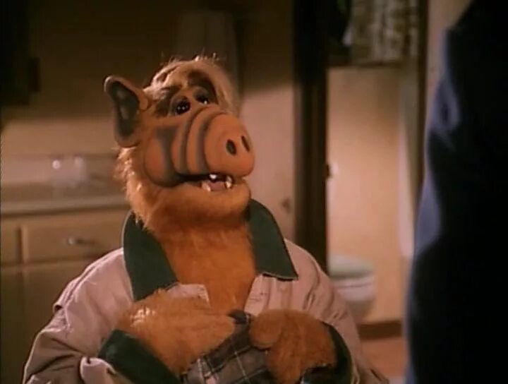 Проект альф 1996. Проект альф отзывы. Альф из мультика. Проект альф отзывы. Проект альф отзывы.