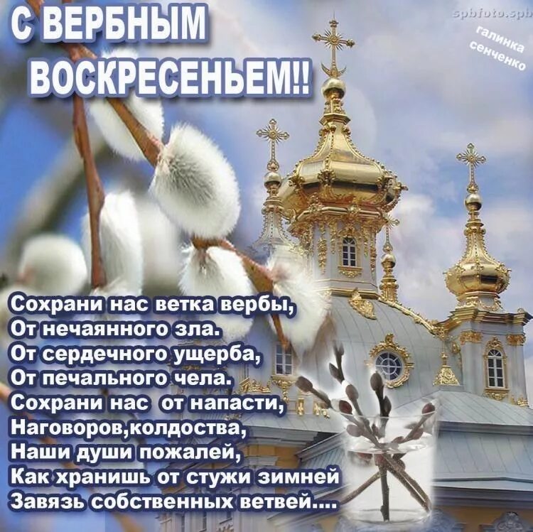 Вербное воскресенье календарь. Вербное воскресенье поздравления. Поздравить с Вербным воскресеньем. С праздником Вербное воскресенье. Открытка с Вербным.