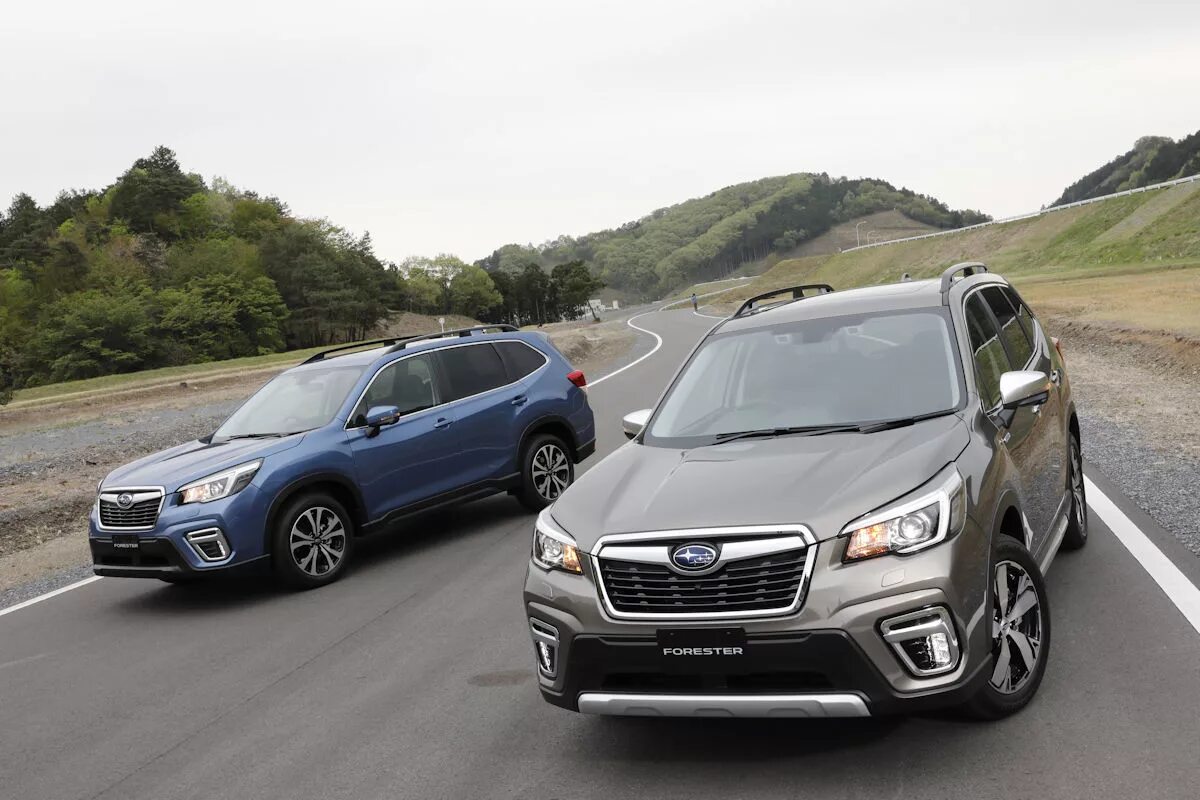 Subaru forester 5 поколения. Форестер 2019. Subaru forester 2022. Форестер 5 поколения. Субару форестер пятого поколения.