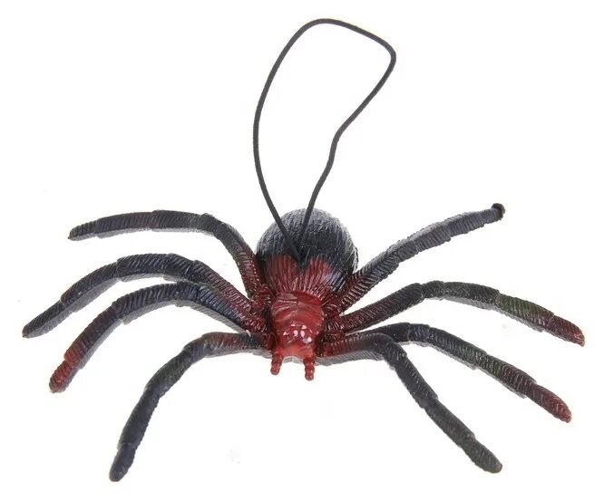 Мраморный крестовик паук. 10 паук. Паук 10. Паук 10. Паук 10.