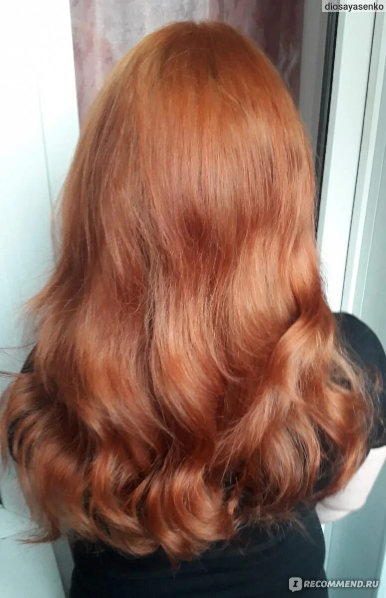 majirel 8,04 jasny blond miedziany