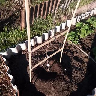 Ксп садовод
