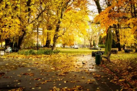 Осенний день в парке