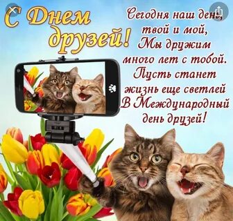 День друзей поздравления фото