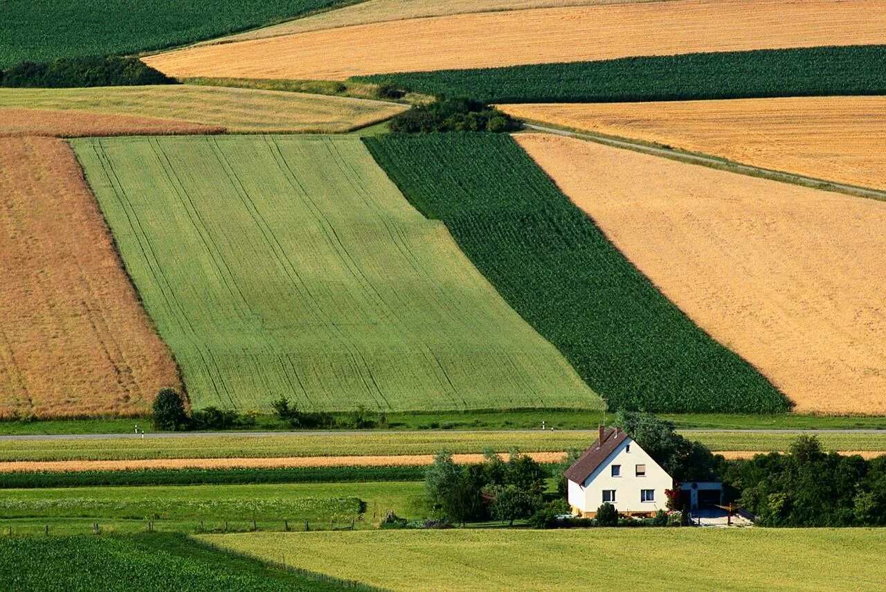 Земли британии. Великобритания пахотные земли. Британия агрокультура. Пахотные земли США. Поля Дании сельскохозяйства.