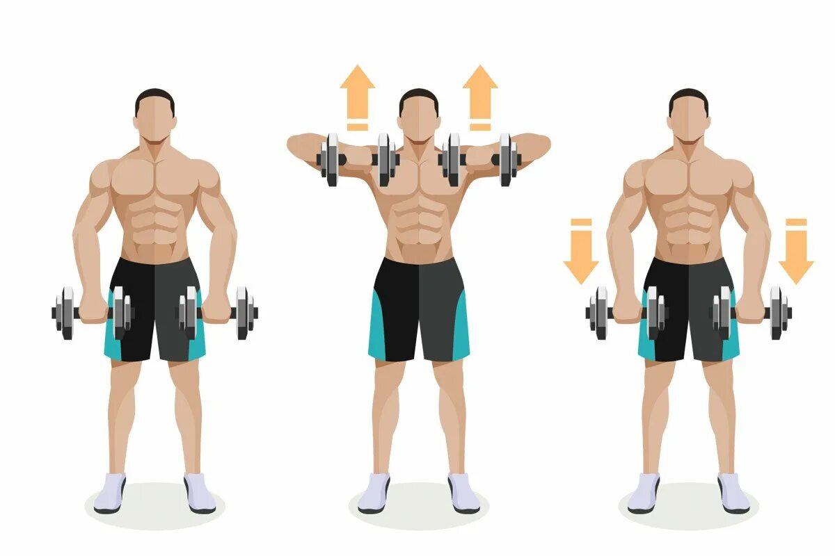 Рост гантели. Упражнения на грудные мышцы с гантелями стоя. Тренировка плеч с гантелями. Упражнения на плечи с гантелями. Упражнения на бицепс с гантелями.