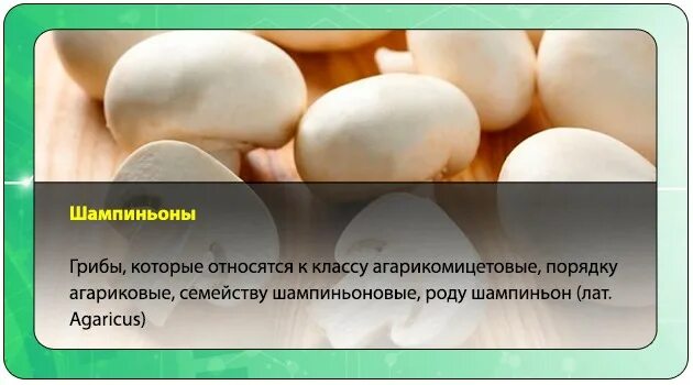 Отравление шампиньонами. Шампиньоны ашан. Шампиньоны черные при жарке. Грибы вид сверху. Отравление шампиньонами симптомы.