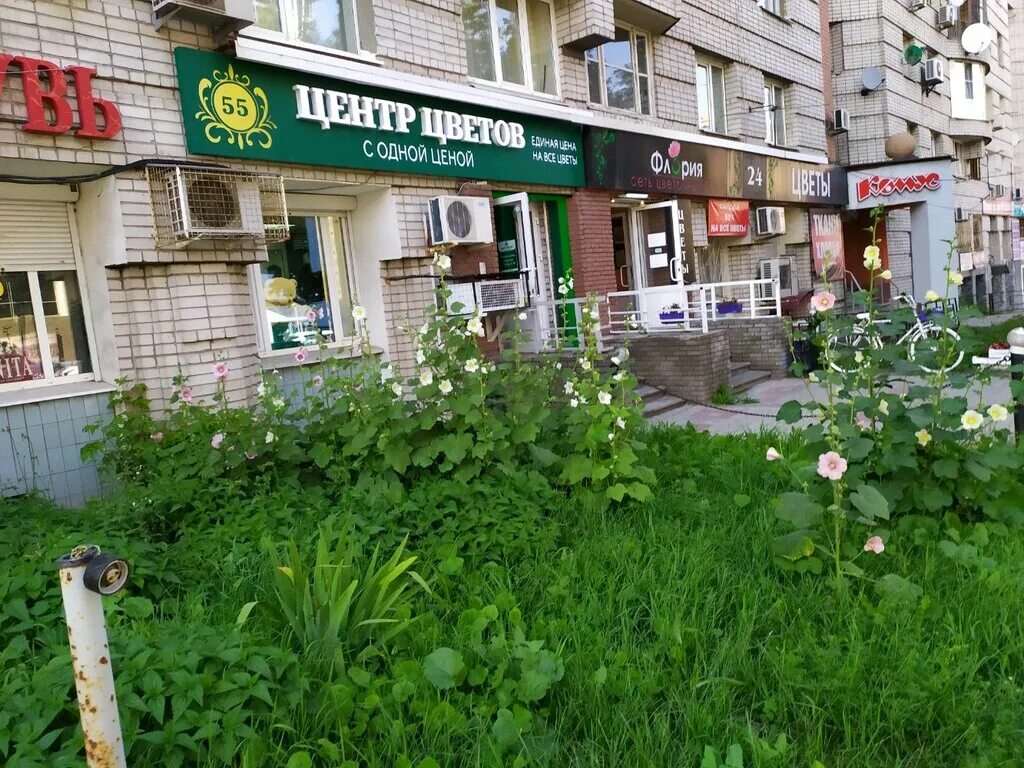 Сдэк улица белинского 110 нижний новгород. Ул белинского 110. Белинского 110 панорама. Улица белинского дом 110 нижний новгород. Белинского, д.