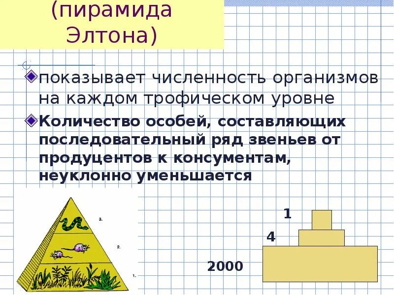 Составьте пирамиду чисел. Экологическая пирамида элтона. пирамида чисел элтона. пирамида трофических уровней. пирамида элтона примеры.