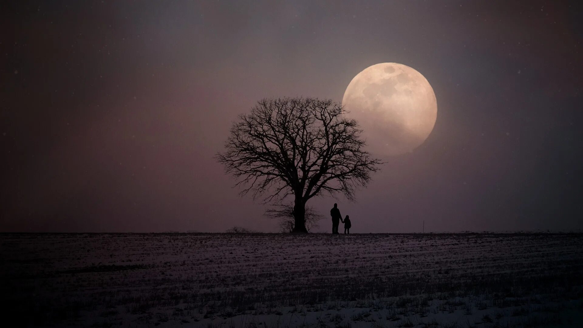 Лунный пейзаж. Лунная ночь. Фото Луны. Ночной пейзаж с луной. Напротив луны