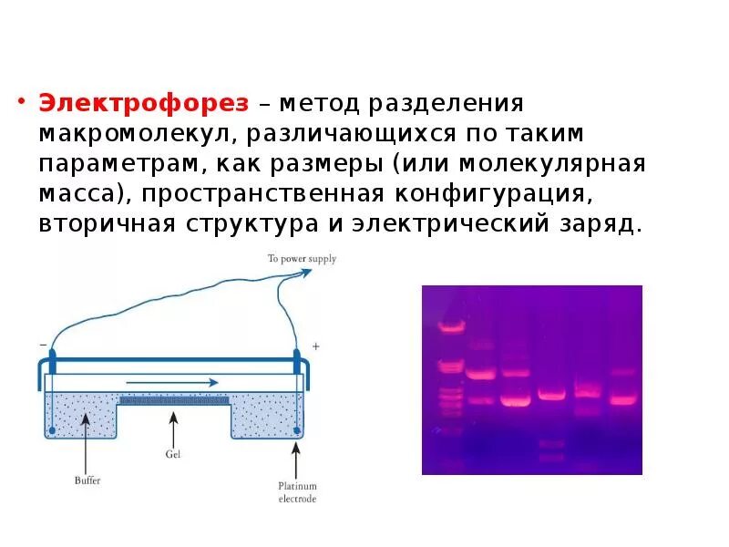 Электрофорез процесс