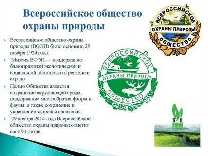 Экологическое общественное учреждение
