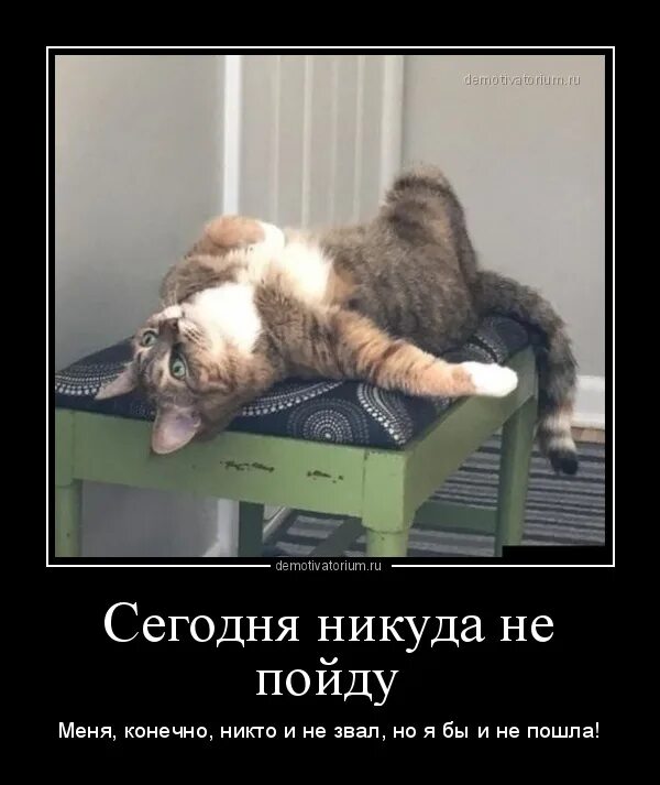 Почему никуда не зовут. Почему никуда не зовут