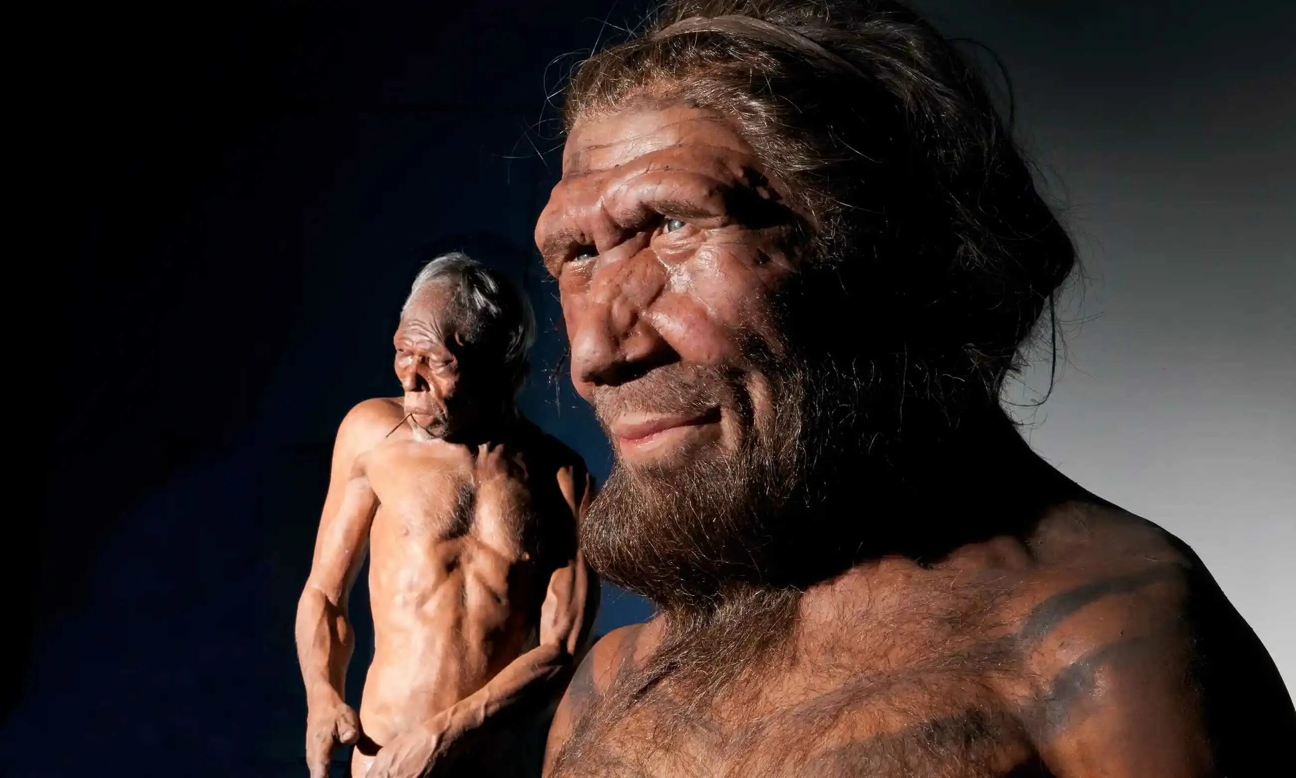 Неандерталец (homo Neanderthalensis). Хомо сапиенс неандерталец и Денисовец. Хомо сапиенс неандерталец кроманьонец. Кроманьонцы и неандертальцы и денисовцы.