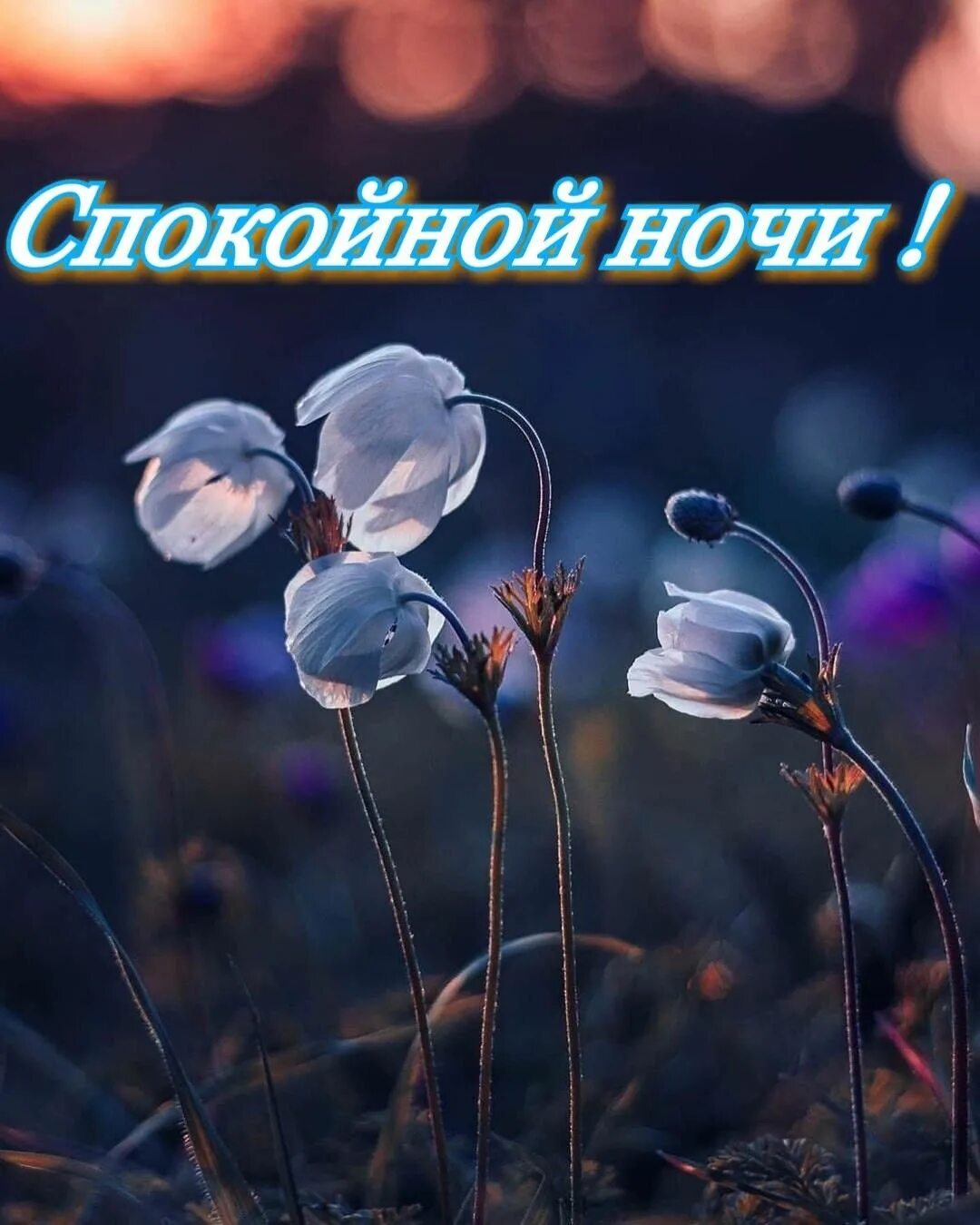 Pin on Добрый вечер