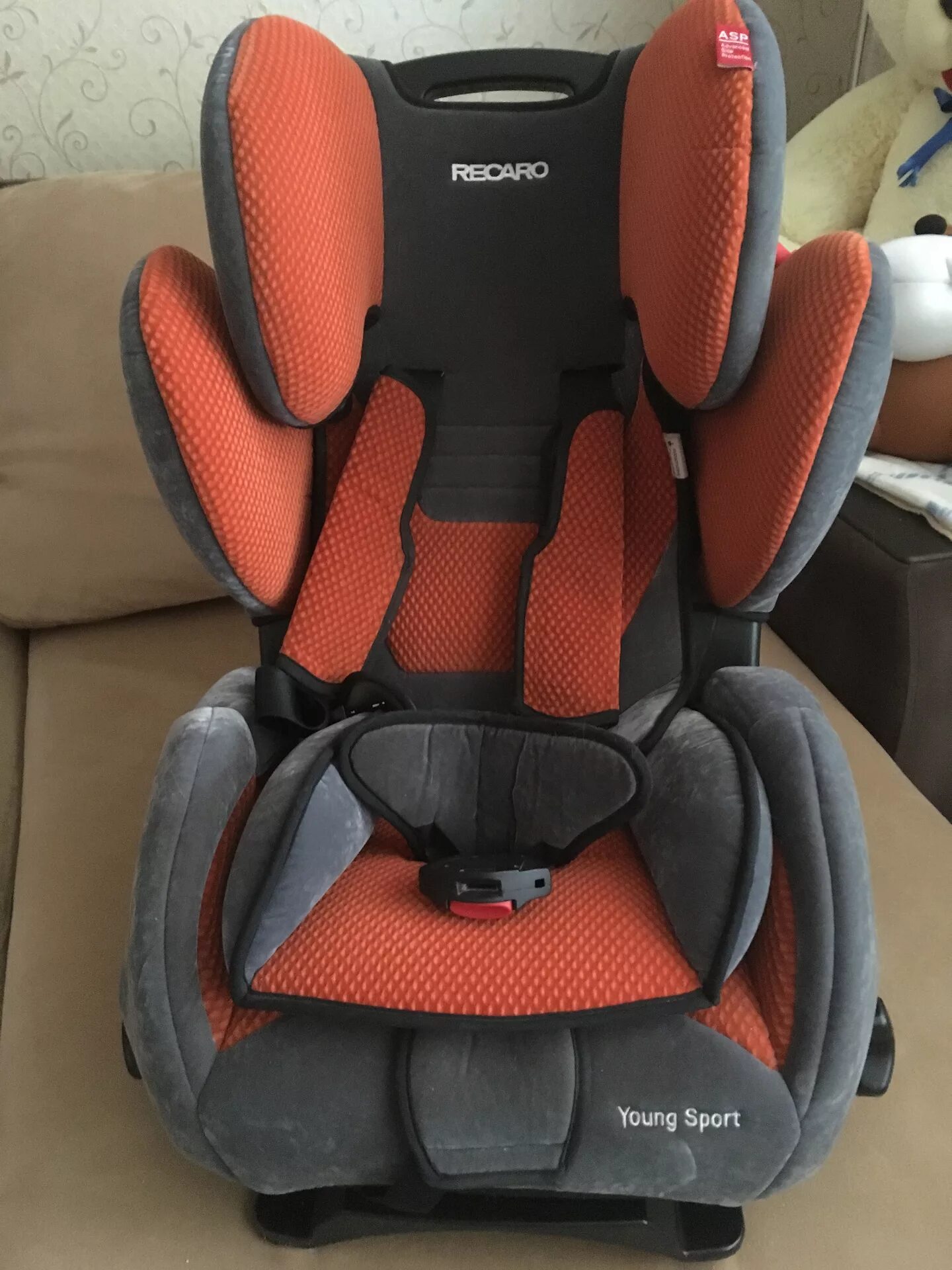 Young sport hero. Recaro young Sport. Детское кресло Recaro young Sport. Recaro young Profi Plus. Recaro young Sport Hero в Форд фокус 3.