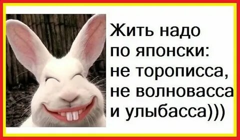 Надо жить красиво песня