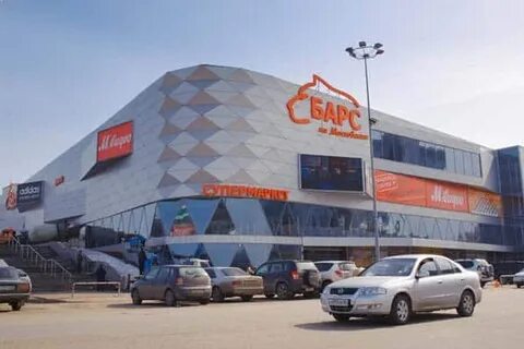 Барс рязанский