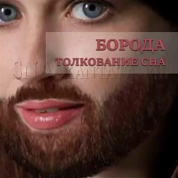 Что значит во сне борода. Видеть во сне бороду на себе. Красивая борода. Борода. Что значит во сне борода.