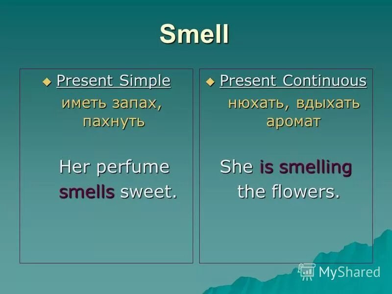 Present simple present continuous reading. Употребление think в present continuous. глаголы состояния в английском языке. think в презент симпл. глаголы состояния в английском языке список.
