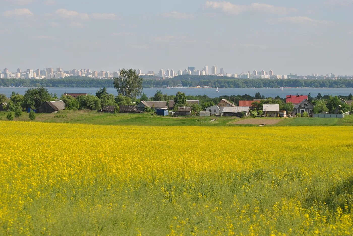 Ковид в беларуси. Села в Белоруссии. Белорусская деревня. Поле за городом. Город и деревня.