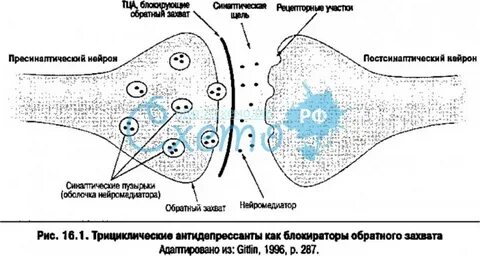 Обратный захват серотонина