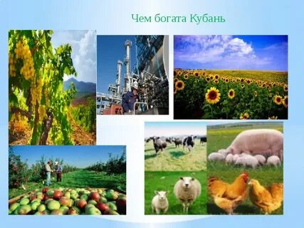 Кубань материал