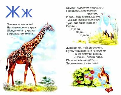 Аннотация животных