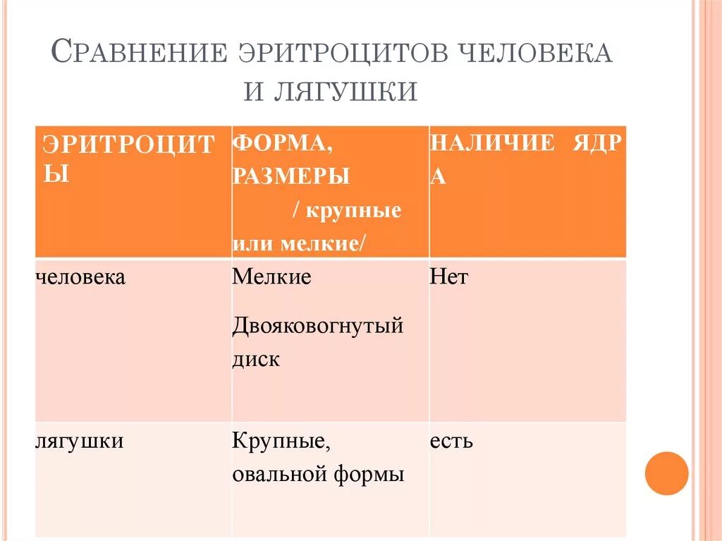 Сходство человека и лягушки