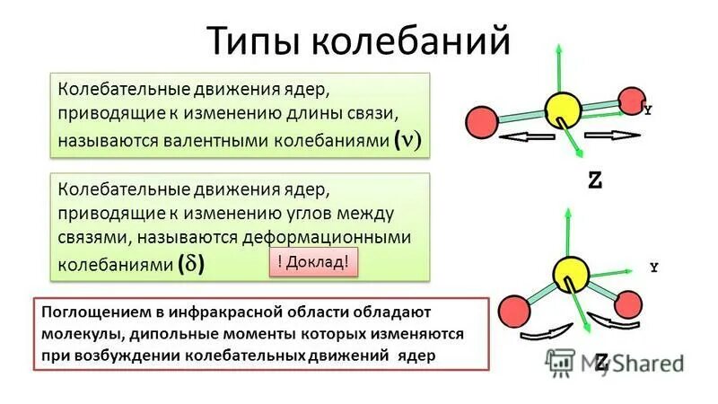 формирование многоядерного синцития. движение ядра. состав внешнего ядра ядра земли. электроны вокруг ядра. орбиты электронов.