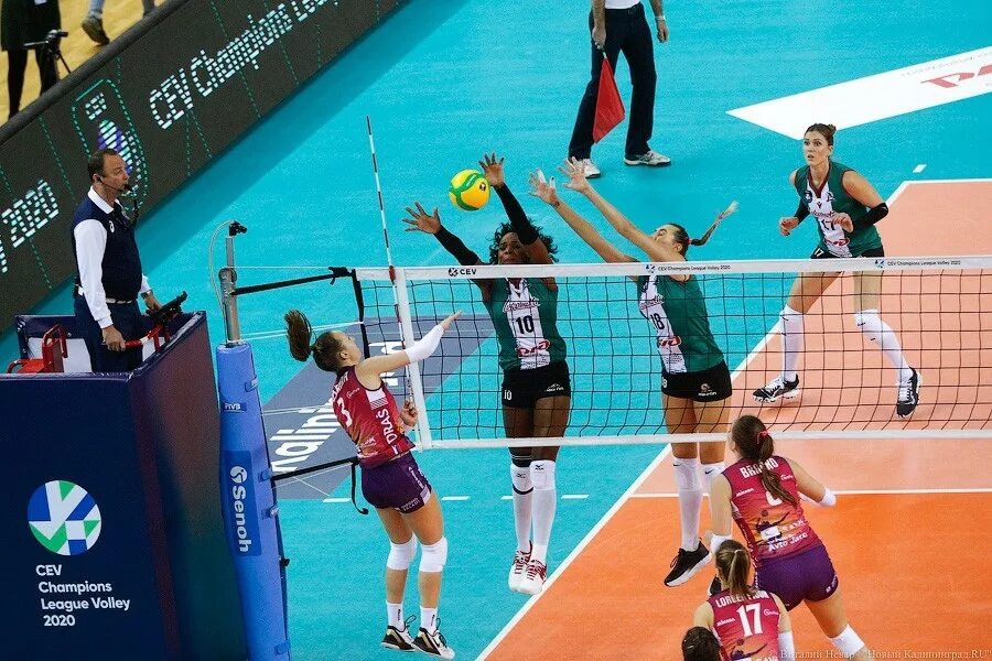 Динамо локомотив волейбол расписание. Локомотив калининград волейбол лига чемпионов. талисман волейбольного клуба локомотив. локомотив (волейбольный клуб, калининград). лукьянова волейбол локомотив.