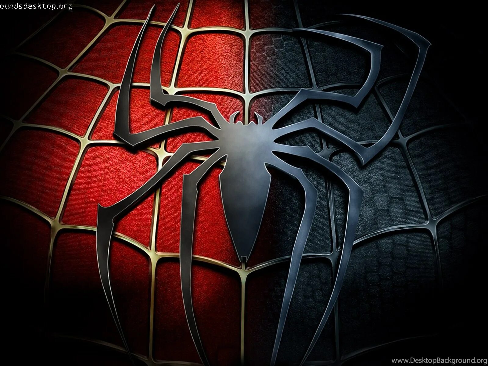 Живые обои паук. Человек паук. Паутина человека паука. Человек паук картинки. Человек паук живой.