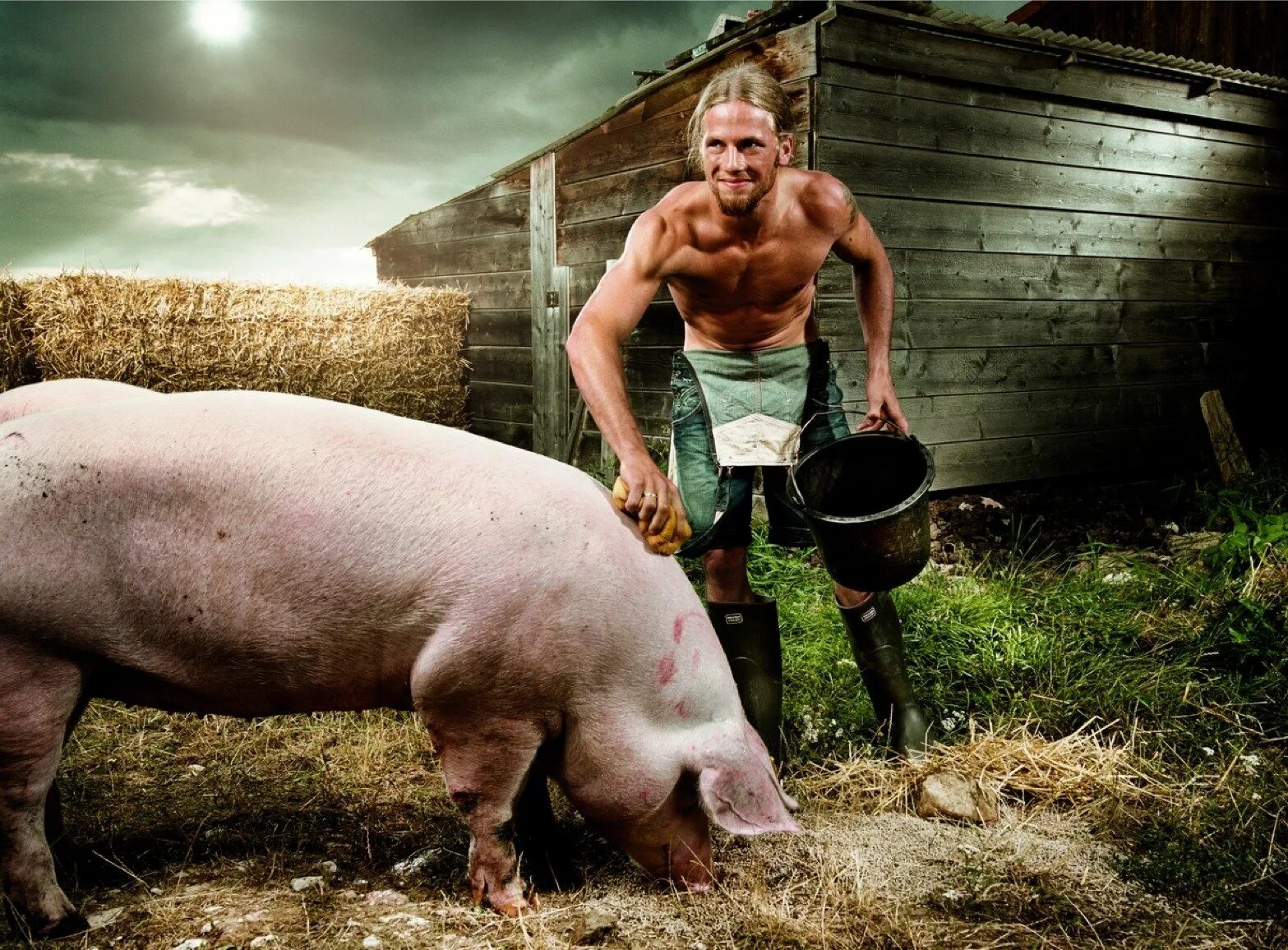 Стал сильный фермер. Свинья деревенская. Свиньи на ферме.