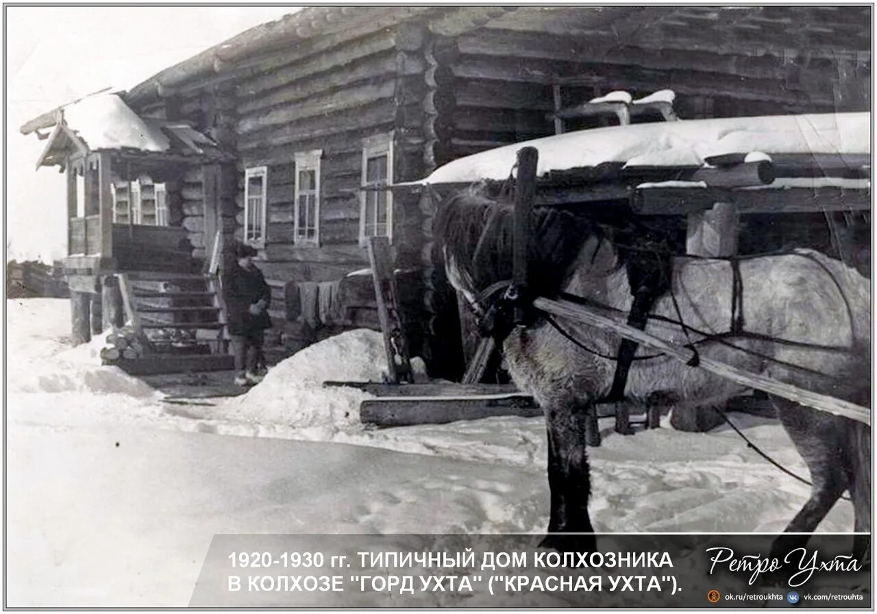 Какое животное принес в дом колхозник. Ухта 1930. ретро ухта. дом колхозника. дом колхозника нижний новгород.