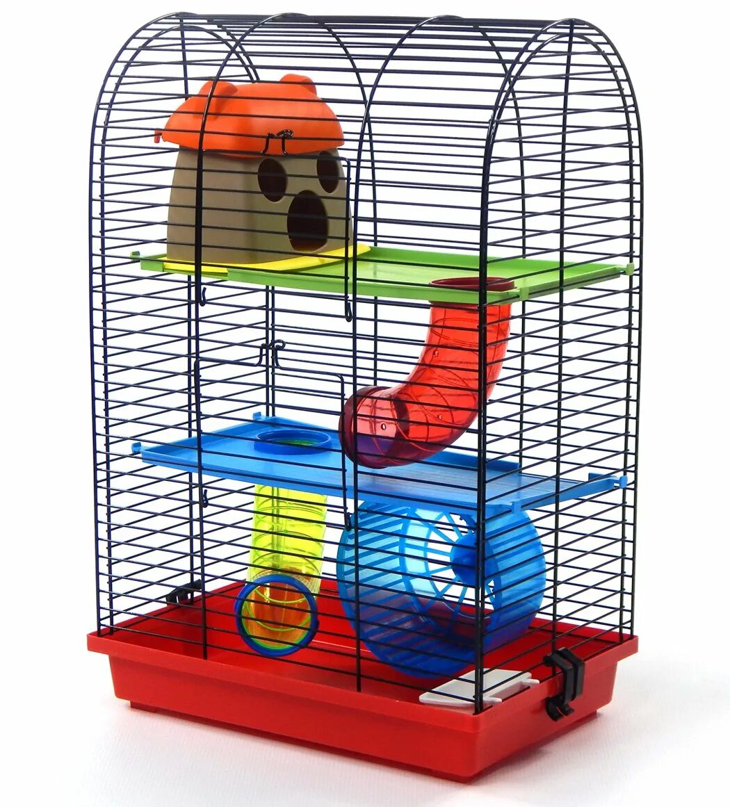 Хомячки домашние в клетке. Клетка ferplast milos large. Клетка для грызунов kredo 47х30х37см. Хомяки джунгарики в клетке. Клетка kredo 513b.