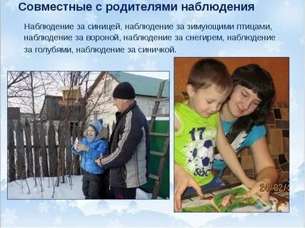 Наблюдение за синицей