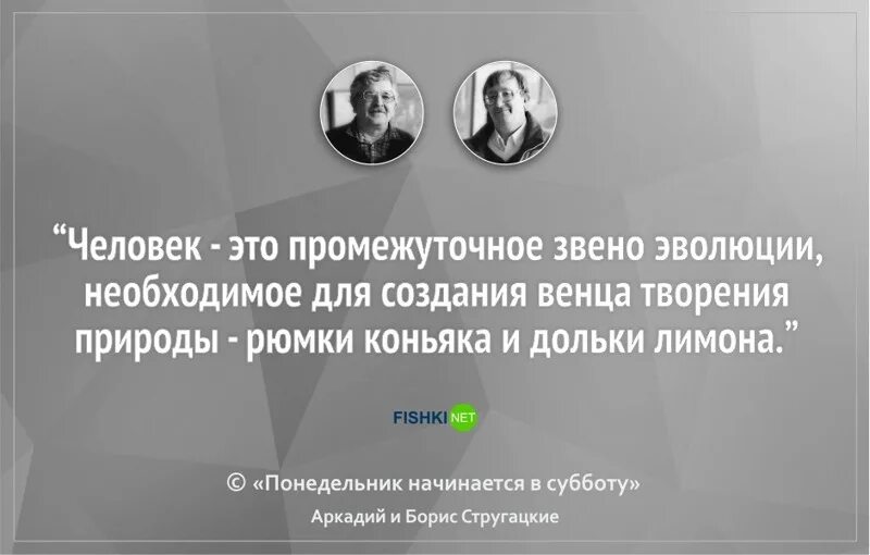 человек промежуточное звено эволюции