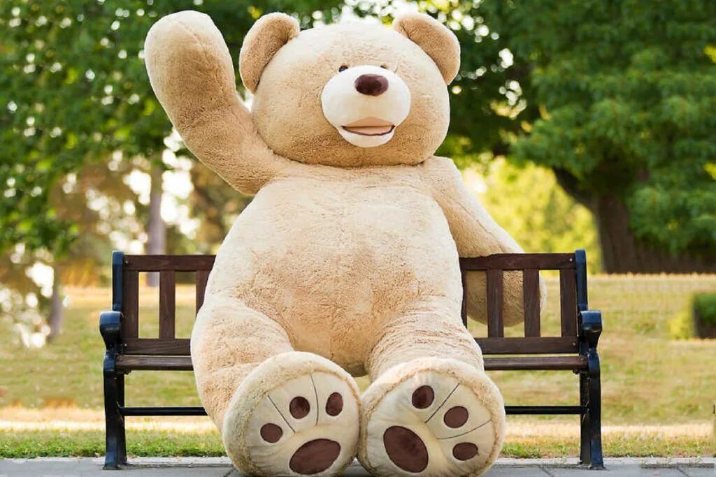 Big teddy